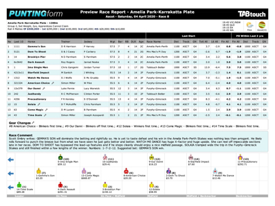 Punting Form reports